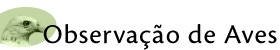 actividades recreativas, avistaje de aves, pampa linda